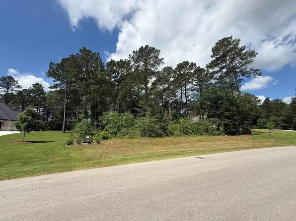 8652 Cedar Meadow Ln, Plantersville, TX 77363