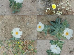 51155 Ocotillo Rd, Johnson Valley, CA 92285