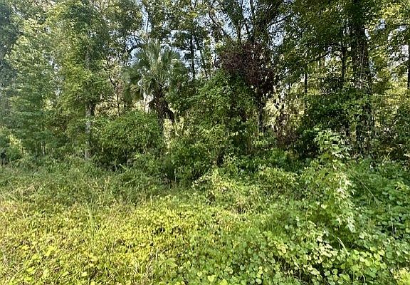5th image of 0 NE 597th St