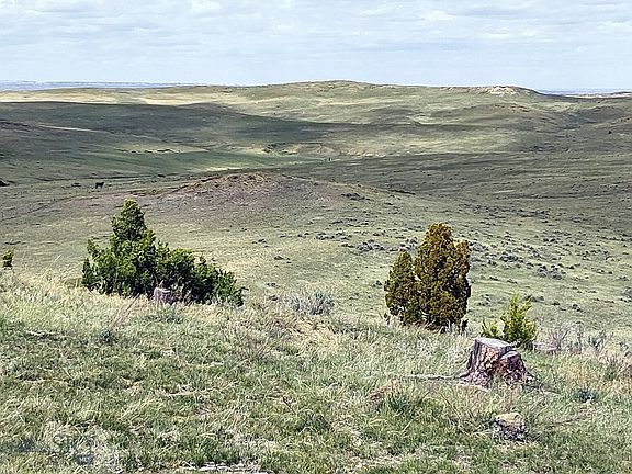 2nd image of 0 Davis Rd