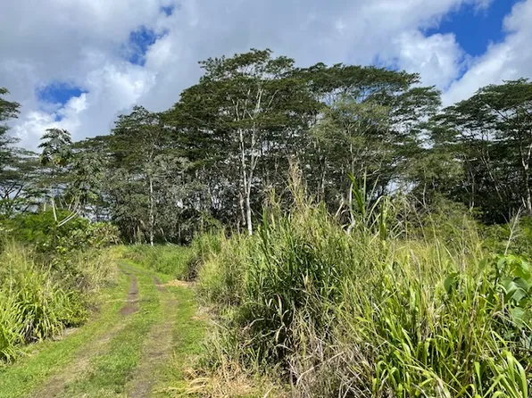 19 One #A, Kurtistown, HI 96760