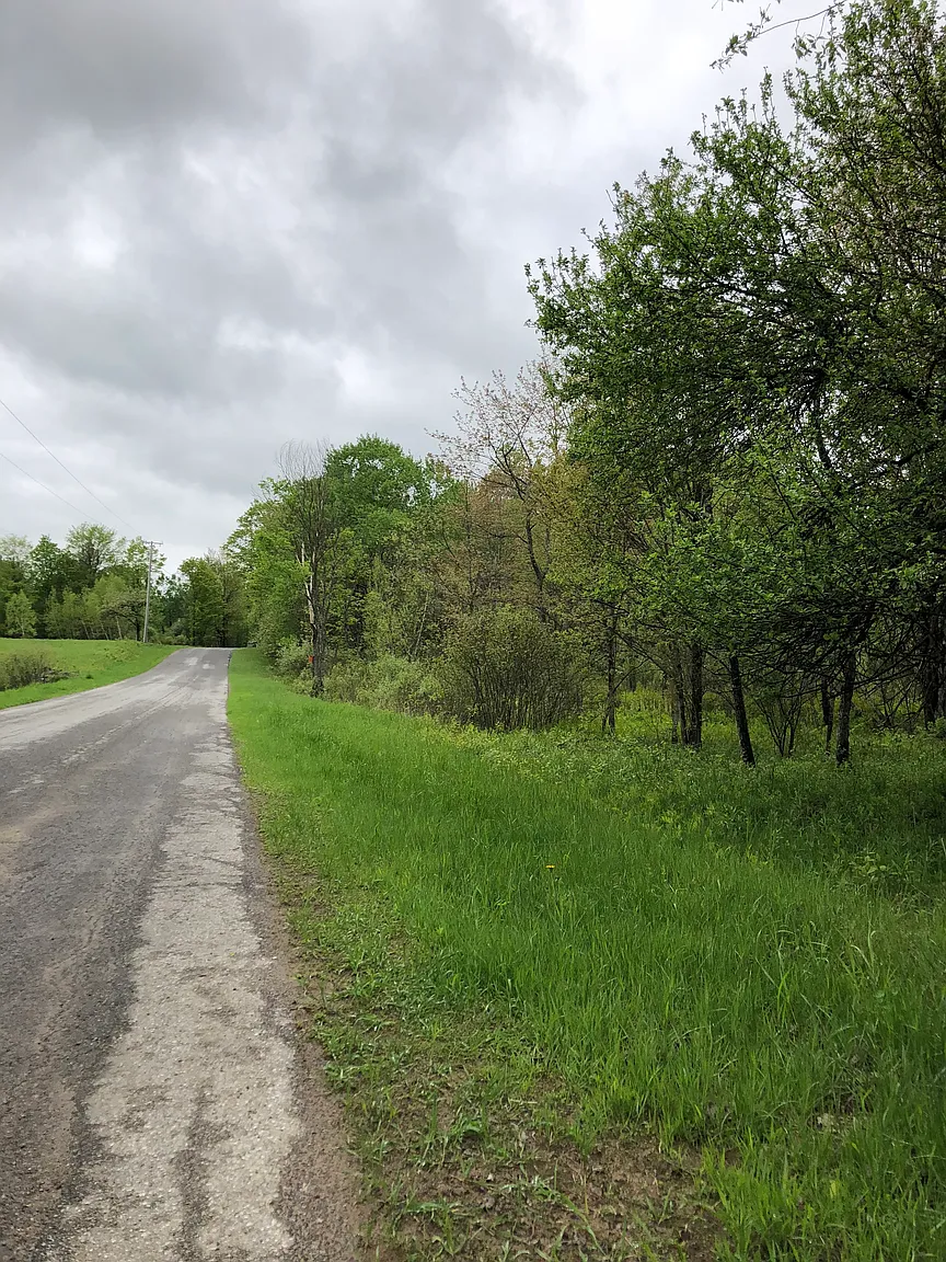 Curtiss Rd #13 photo 1