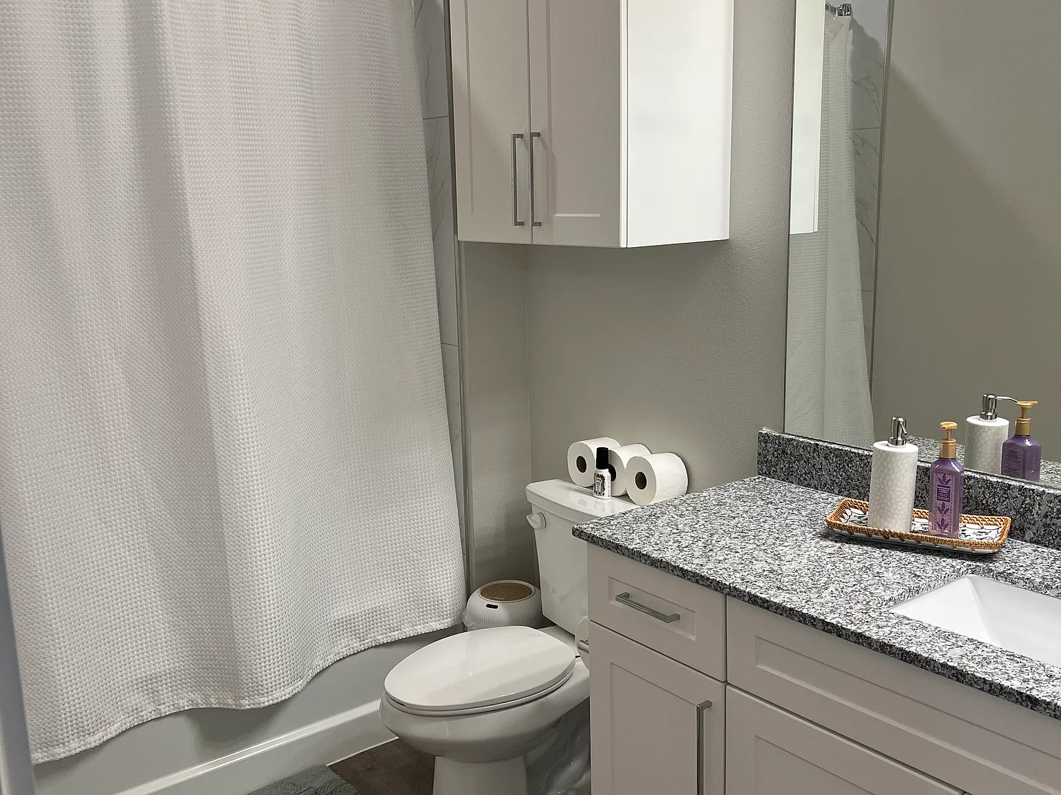 1 bed, 704 sqft, $2,500 — Photo 4