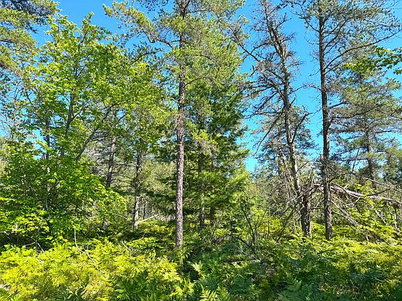 3rd image of LOT 22 N Betsy Riverview Row