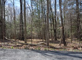 Clements Rd, Liberty, NY 12754