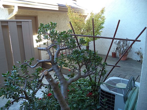 3rd image of 20572 Shady Oak Ln