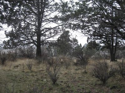 Drews Rd LOT 2, Sprague River, OR, 97639