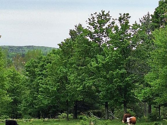 2nd image of 53 Snyder Road
