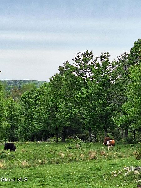 2nd image of 53 Snyder Road