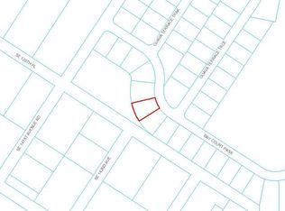 0 Bay Court Pass, Ocklawaha, FL 32179