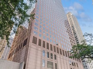 161 E Chicago Ave APT 49A, Chicago, IL 60611