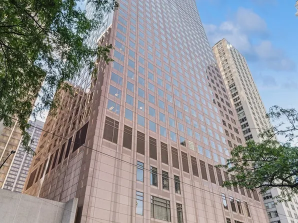 161 E Chicago Ave APT 49A, Chicago, IL 60611