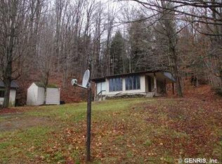 2530 County Road 24, Swain, NY 14884
