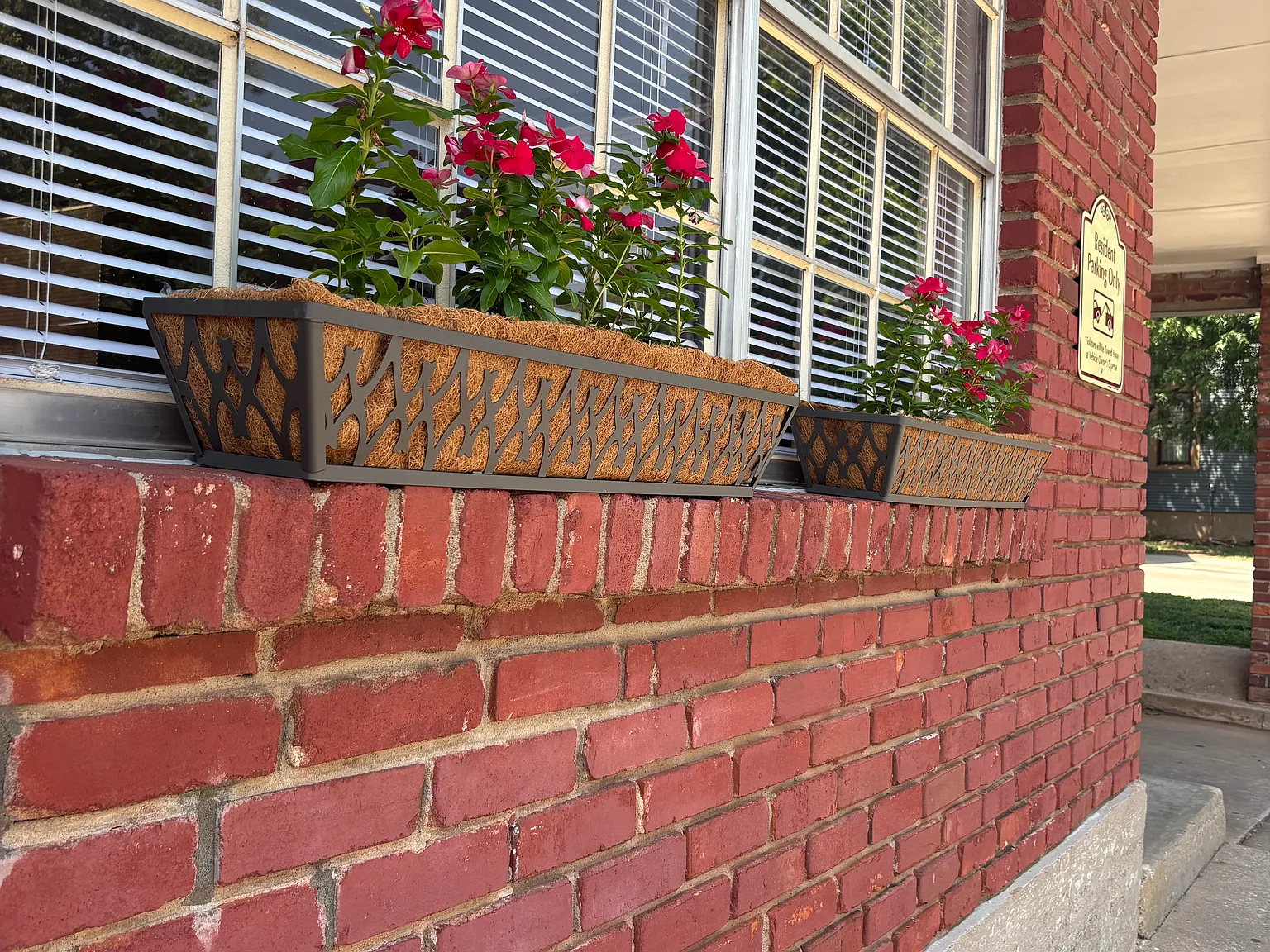 1 bed, 600 sqft, $845 — Photo 2