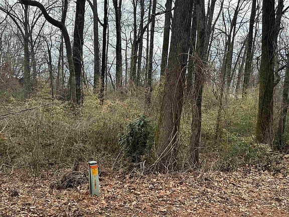 5th image of 5711 Green Valley Rd