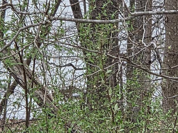 4th image of 0 Horseshoe Bend Rd