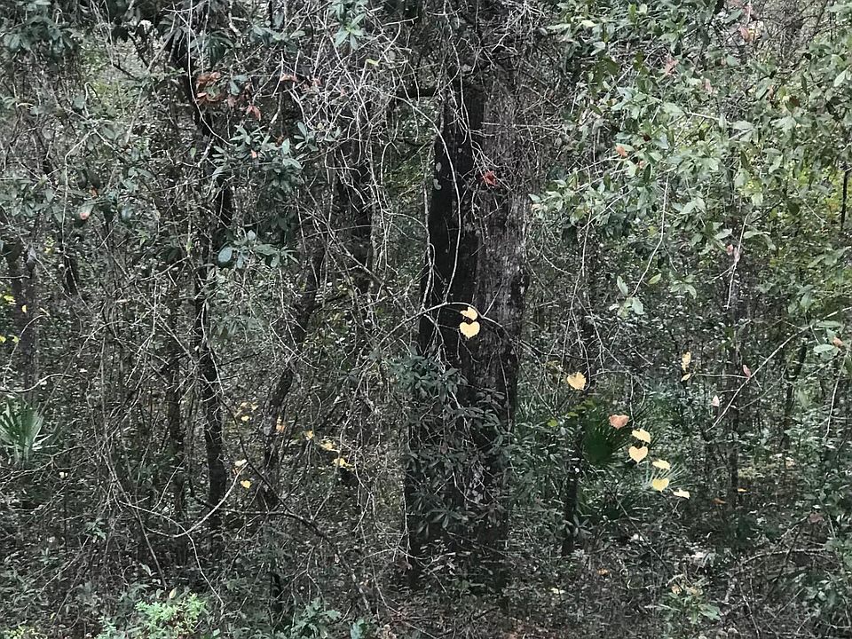 1st image of LOT 27 BRETT Avenue