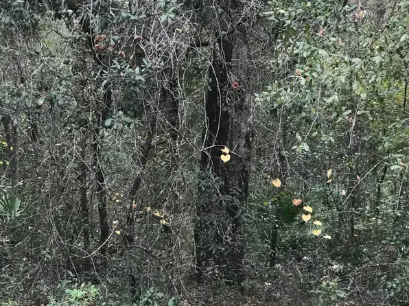 LOT 27 BRETT Avenue, Interlachen, FL 32148