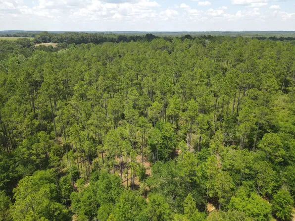 Saint Highway 83, Defuniak Springs, FL 32433