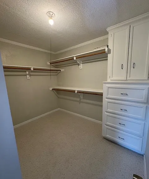 4812 Honeysuckle Ln — Photo 9