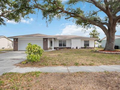 1007 Southern Pine Ln, Sarasota, FL, 34243