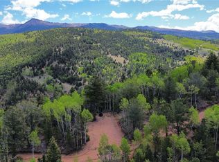 County Road 61 Court Rd, Divide, CO 80814