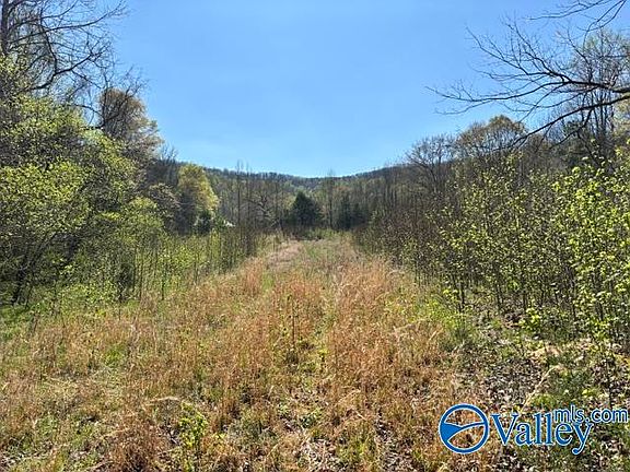 2nd image of County Road 148