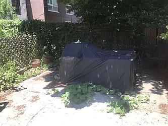 Rented by Elite NY Holdings