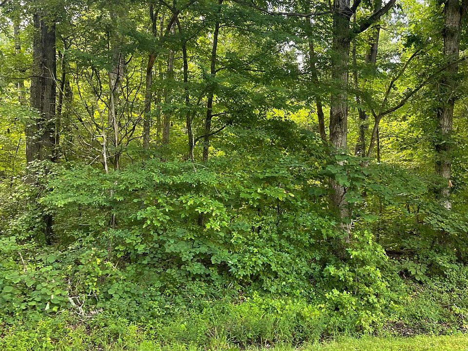 2nd image of Will Suitt Rd