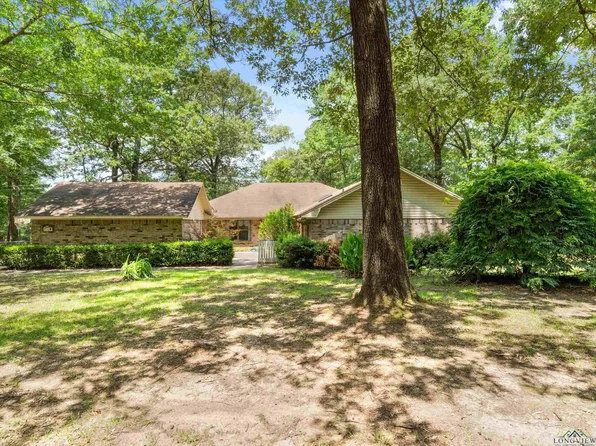 113 County Road 1135, Daingerfield, TX 75638