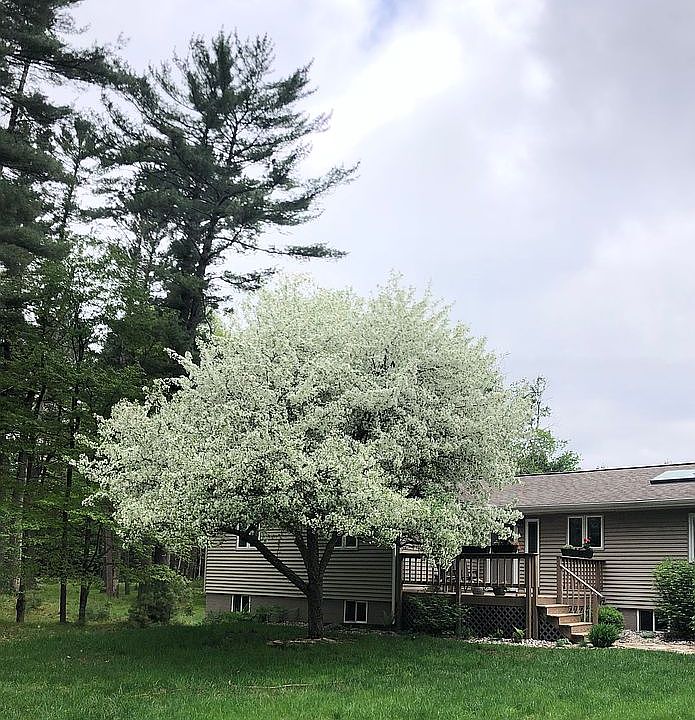 1st image of W8752 Lakeview Dr