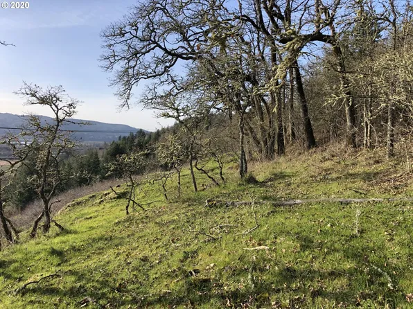 Bluff Rd, Kalama, WA 98625