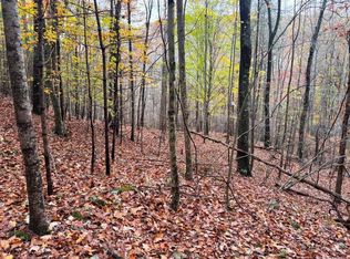 Collins Cove Rd, Ivanhoe, VA 24350