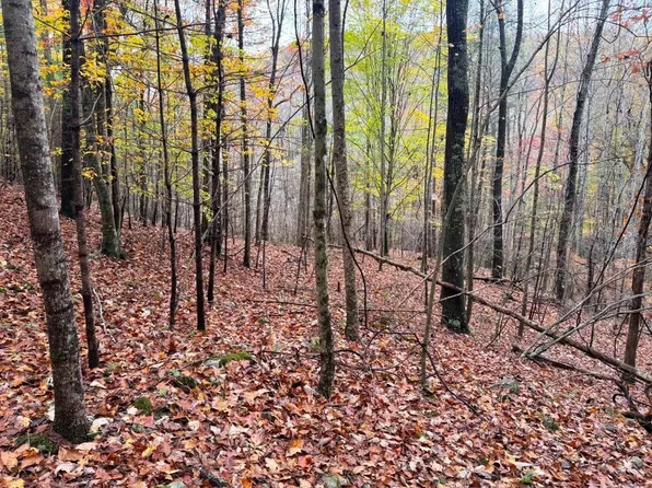 Collins Cove Rd, Ivanhoe, VA 24350