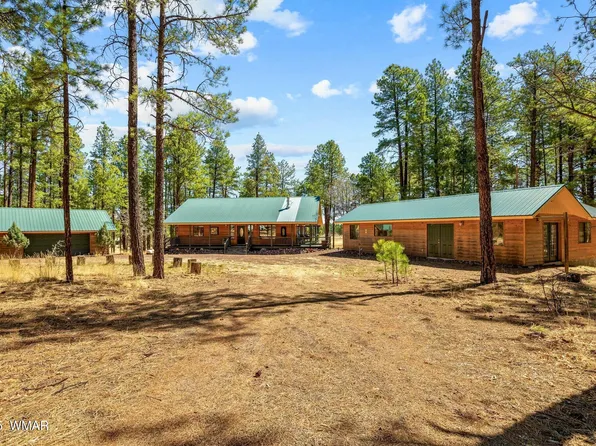 61 County Road 2266, Alpine, AZ 85920