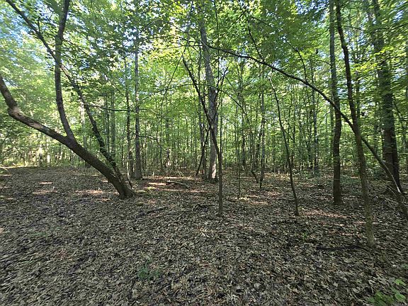 3rd image of 0 Cypress Lake Rd