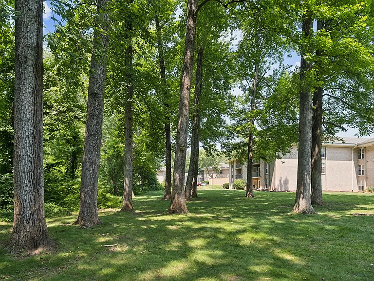 The Overlook at Quantico — Photo 11