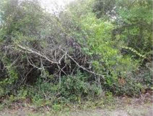 2nd image of 9547 NE 306th Ct