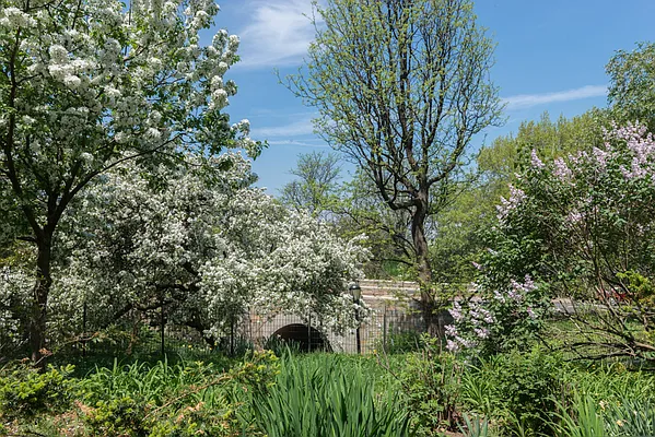 Rented by Sky Management | media 42