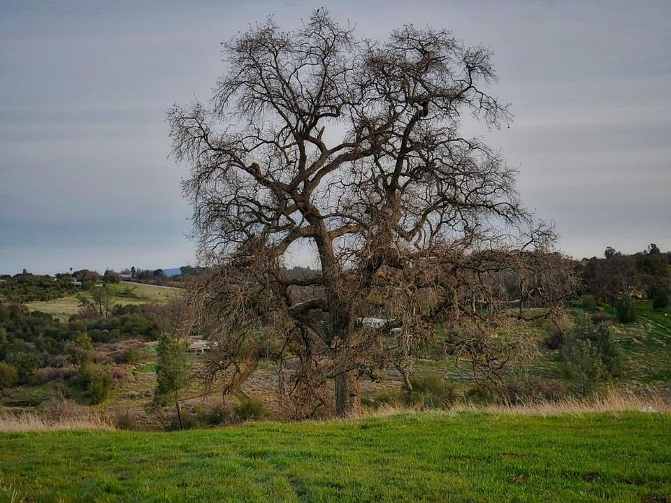 1st image of 225 Blazeford Gulch