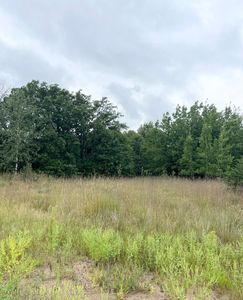 17187 62nd St SE, Becker, MN, 55308