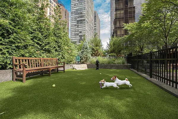 Sold by Daniel Gale Sotheby's International Realty | media 7