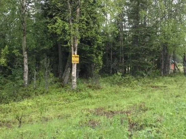 49335 Sterling Hwy, Soldotna, AK 99669