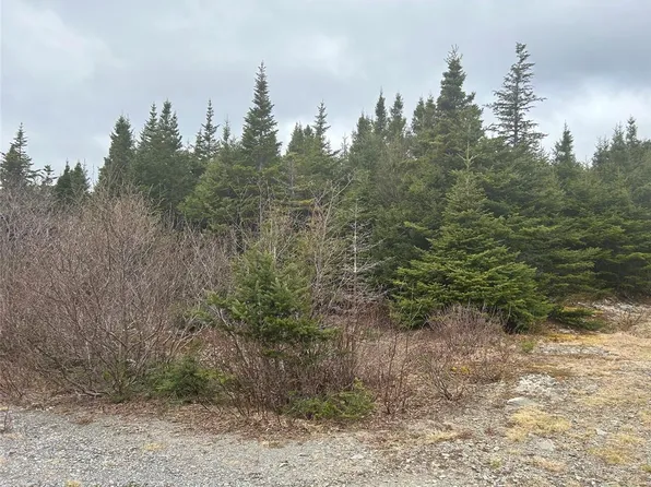 Lot #01 Slate Mine Road, Burgoynes Cove, NL A0C1G0