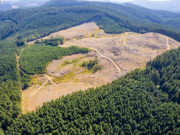 4th image of 0 Bald Mountain Rd