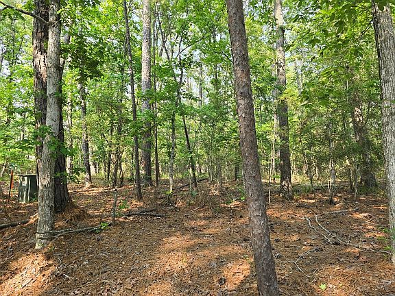4th image of 395 Deergrass Dr