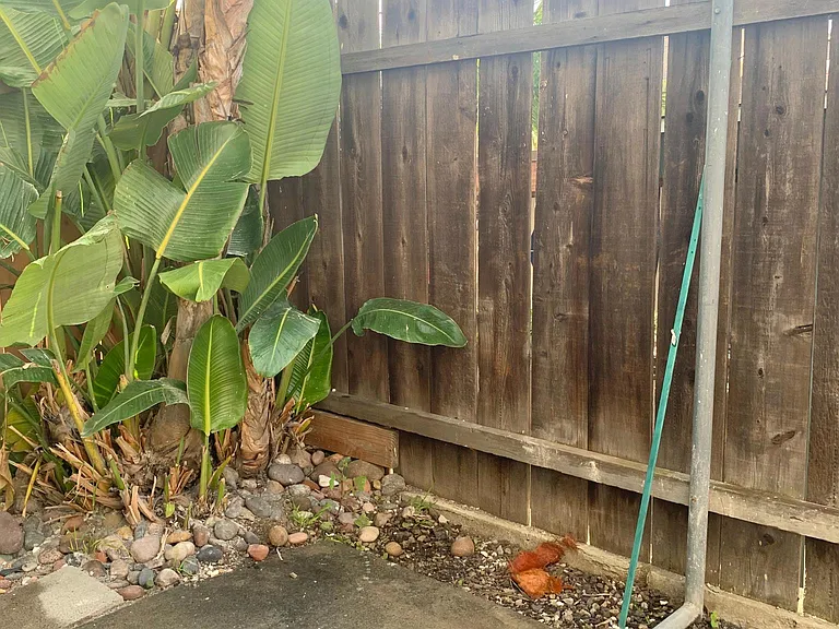 Private Patio