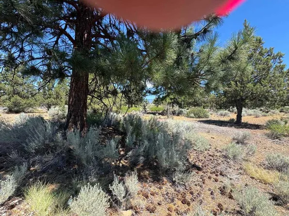 8-1 Lakeside Dr Lot 234, Weed, CA 96094