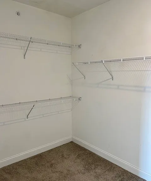 231 Walton Ave #403 — Photo 9