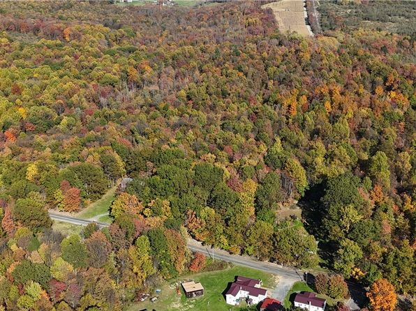 24 Acres Along Rte #580, Cherry Tree, PA 15724